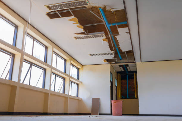 Best 24/7 water damage repair  in La Puente, CA
