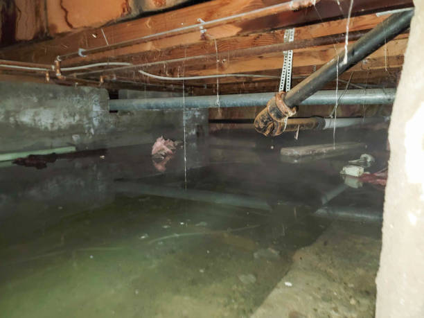 Reliable La Puente, CA Water damage restoration Solutions