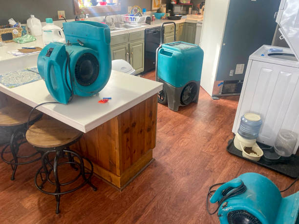 Best Water damage cleanup near me  in La Puente, CA