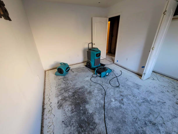 Best Professional water damage repair  in La Puente, CA