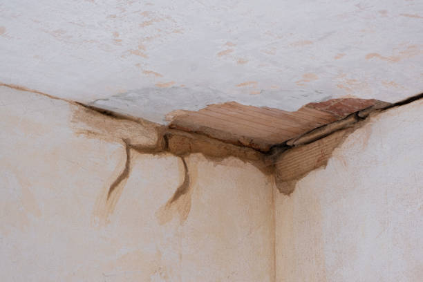Best Commercial water damage restoration  in La Puente, CA