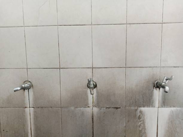 Best Carpet water damage restoration  in La Puente, CA