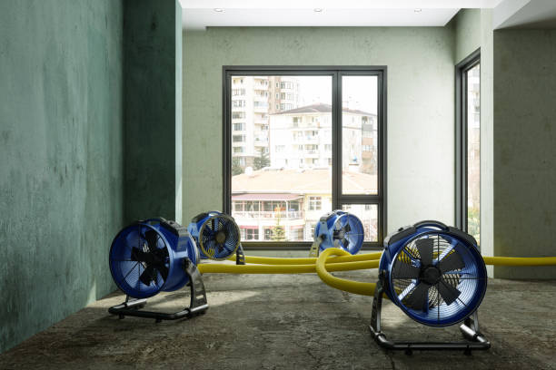 Best Water damage restoration experts  in La Puente, CA