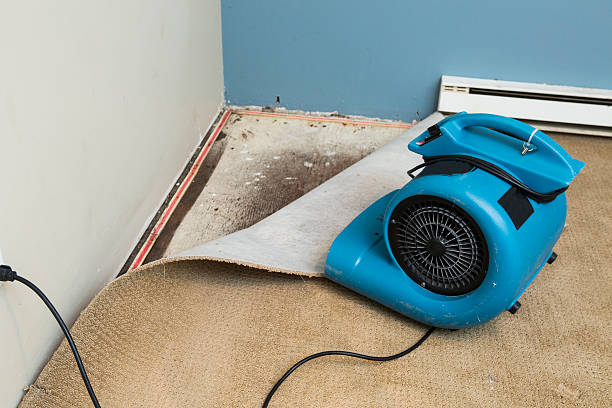 Best Carpet water damage restoration  in La Puente, CA